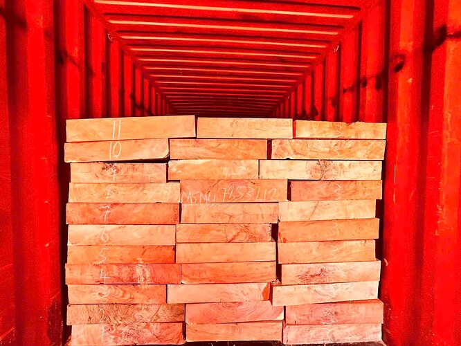 600216352_1548046142911099_5916144649366835211_n